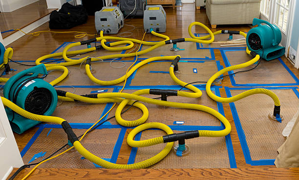 Professional Crawl Space Water Removal technician working in Augusta, MO